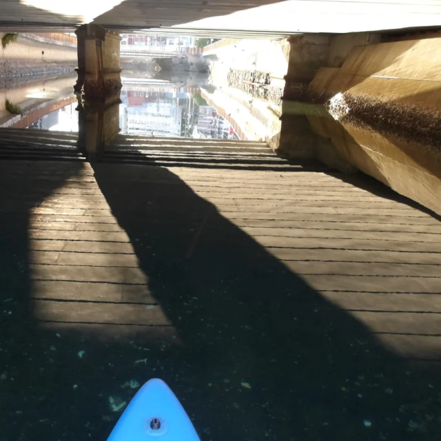 2024.10.13  出島　水鳥
長崎の日常にsupを…
#sup  #長崎sup  #中島川sup  #長崎猫　#ねこ　#水鳥　#中島川　#出島　#長崎中華街　#橋の下の世界　#長崎　#nagasaki