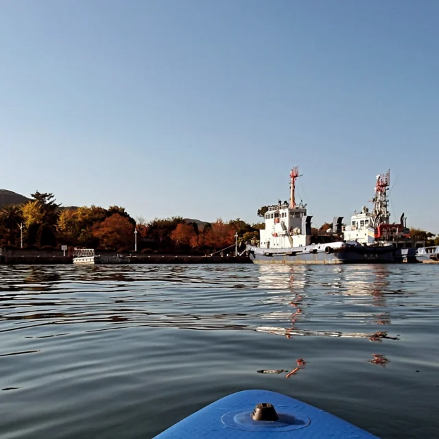 2024.12.1  中島川　紅葉sup
長崎の日常にsupを…
#sup  #長崎sup  #中島川sup  #紅葉sup  #水辺の森公園 　#長崎港　#出島　#中島川バイパス　#長崎市民会館　#出島　#中島川　#東新橋　#十八親和銀行本店 　#長崎　#nagasaki